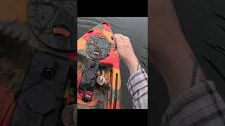 November Top Water Strike on Whopper Plopper bassfishing fishing outdoors [upl. by Noraj599]