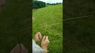 We found water dowsing dowsingrods homesteading waterdiviner [upl. by Even357]