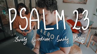 Psalm 23 Surely Goodness and Mercy by Shane amp Shane [upl. by Ennaeilsel]