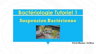 Bactériologie Tutoriel 1  Faire une suspension bactérienne [upl. by Linis]