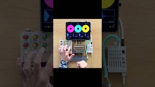 Chroma Console pedal live looping with Colour Palette thumb piano OPZ and Loopy Pro on iPad [upl. by Tsyhtema]