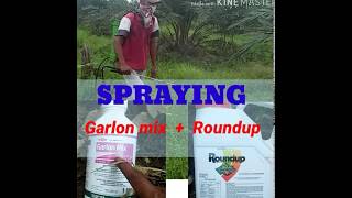 Sprayer elektrik Garlon  Roundup [upl. by Yatnohs]