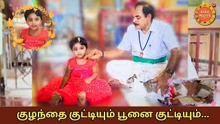 வீட்டில் 10 பூனைக்குட்டி கோவிலில் 3பூனைக்குட்டி hinduguru baby cate babaprayer babatv vandalur [upl. by Retrac649]