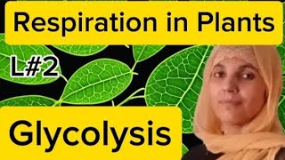 Plant PhysiologyL2Glycolysis Respiration in plantsNEETMDCATall Board Exam [upl. by Irim]