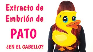 Embrión de PATO para el cabello seco TRATANTE NATURAL DE NAPROLAB ¿Hidratación y nutrición de salón [upl. by Prady760]