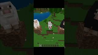 Minecraft Sheep Moment minecraft [upl. by Scrivens]