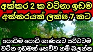 අක්කර 2 ක සරුසාර ඉඩම අක්කරයක් ලක්ෂ 7 කට  Land for sale  Aduwata idam  Agriculture land Idam sale [upl. by Ymot]