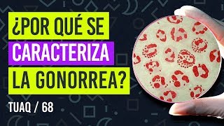 ¿Por qué se caracteriza la GONORREA [upl. by Stav]