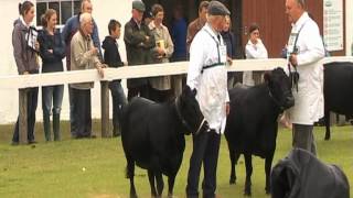 Great Yorkshire Show 2008 [upl. by Ennayelsel211]