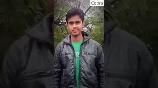 cobra Asst commandant Ashutosh Pandey  upsc capf motivational video  IPS  IAS  lbsnaa [upl. by Lucrece]