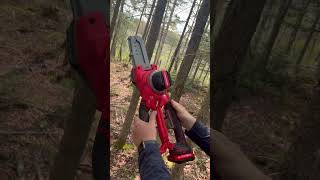 CRAFTMAN V20 6 “ Cordless Compact Chainsaw Lopper [upl. by Maddis521]