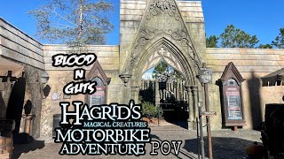 Hagrids Motorbike Adventure Islands of Adventure 5th Row Side Car [upl. by Sukramed]