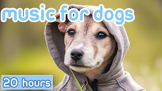 NO ADS Music for Dogs FastActing Dog Relaxation Therapy Sounds [upl. by Adivad]