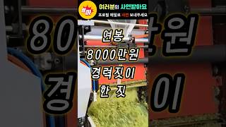 연봉8000만원 경력직이 들어와 한 행동 [upl. by Cheshire]