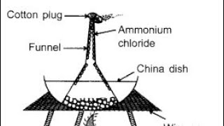 CLASS XI CHEMISTRY PRACTICAL 01 [upl. by Sybil]