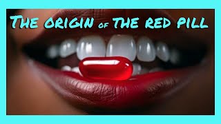 Things we have to discuss Twhd E4 quotThe origin of the red pillquot [upl. by Olin956]