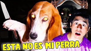 ESTA NO ES MI PERRA ESPIANDO SKINWALKER TODA LA NOCHE 🔪🐶 DESCUBRO OSCURO SECRETO MALDITO [upl. by Hplodur832]