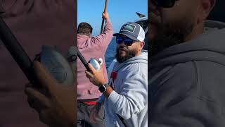 Gaffing a bluefin tuna fishing fishingvideo sportfishing fishingtechniques [upl. by Catlin]