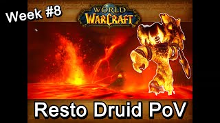 40man Onyxia MC amp R14 Grind  Level 60 Druid  Resto PoV  WoW Classic Era  Week 8 [upl. by Eilagam]