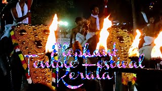 Temple  Elephant  Festival  Beautiful  Kerala  India  Spiritual  Video 06 shailpoints [upl. by Berg]