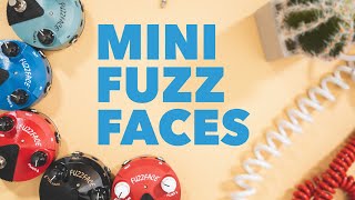 Why Dunlop Mini Fuzz Faces Are Awesome [upl. by Eylk]