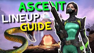 VALORANT  Viper Lineup Guide on ASCENT [upl. by Nayllij]