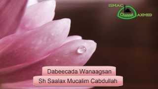 Sh Saalax Mucalim  Dabeecada Wanaagsan [upl. by Brawner348]