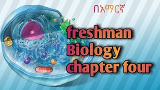 general biology c4 1 [upl. by Nylloh]