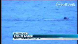 Shark Mauls Navy Diver [upl. by Gert]