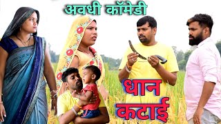 धान कटाई में झंझट  अवधी कॉमेडी  Akhilesh comedy show [upl. by Cleodell306]