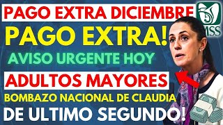 🚨 ¡URGENTE PAGO EXTRA DE DICIEMBRE YA DISPONIBLE PARA ADULTOS MAYORES 💸 MENSAJE DE DEPÓSITO [upl. by Oletha]