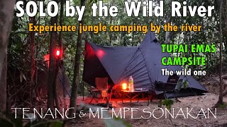 The WILD one in Ulu ReningBatang kaliTupai emas campsite  Solo and family campite di Ulu Rening [upl. by Hallerson]