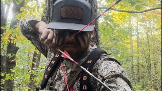 THE BEAST BROADHEAD IN ACTION CHANCE TO WIN A NEW BOW AT THE END OF THE VIDEO [upl. by Ermine]