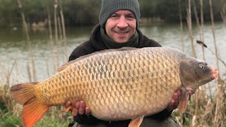 COKING FARM OAK LAKE PROPER BIG CARP CAUGHT [upl. by Innad]