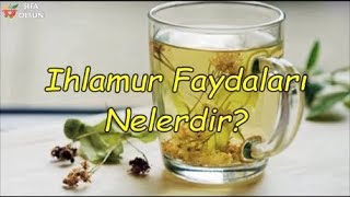 Ihlamur Faydaları Nelerdir [upl. by Libenson422]