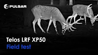 Pulsar Telos LRF XP50  Thermal Imaging Monocular  Live Performance [upl. by Ennasirk]