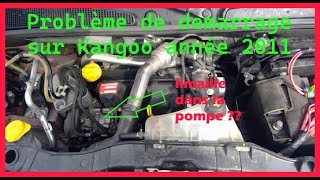 Limaille Pompe injection Delphi [upl. by Peugia409]