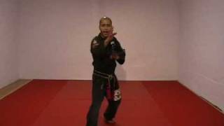 CASA DE KENPO  AMERICAN KENPO  STANCE SET 2 [upl. by Kolk]