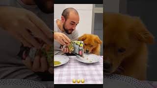 Sorry dog 🐶 petcommunity funny funnydog petloversunite pets duet funnypet funnyanimal funny [upl. by Salisbarry312]