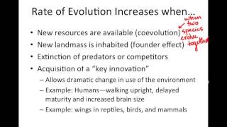 Evolutionary Patterns Macroevolution Analogous Homologous and Vestigial Structures [upl. by Reynold]