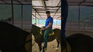 Tips para arrendar potros Cursos para adiestramiento de caballos arrendarpotros potrosarrendar [upl. by Yarezed719]