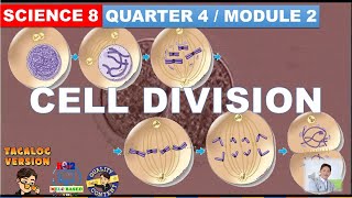 Cell Division  Mitosis and Meiosis Grade 8 Science Quarter 4 Module 2 [upl. by Uella521]