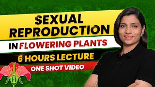 Sexual Reproduction in Flowering Plants Class 12 One Shot All Theory amp PYQs NEET 2024 Ritu Rattewal [upl. by Warford570]