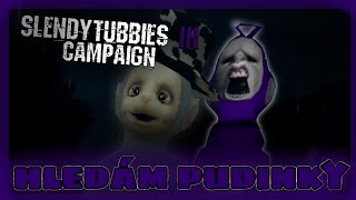 hledám pudinky slendytubbies 3 campaign2p [upl. by Athelstan]