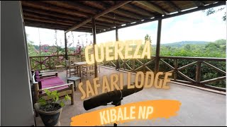 Guereza safari lodge  Best lodge near Kibale National Park ugande [upl. by Elleunamme]