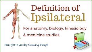 Ipsilateral Definition Anatomy Kinesiology Medicine [upl. by Stretch678]