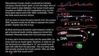 cDNA Genetic Engeneering [upl. by Norrehc]