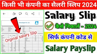 Salary Slip Kaise Nikale  How To Download Salary Pay Slips  सैलरी स्लिप डाउनलोड  NetGuys [upl. by Ruhnke235]