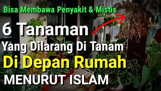 HATI  HATI  Inilah 6 Tanaman Yang Dilarang Ditanam Didepan Rumah Menurut Islam [upl. by Lauder]