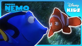 Disney’s Finding Dory  Sleep Swimming  On Bluray DVD and Digital NOW [upl. by Acissaj801]